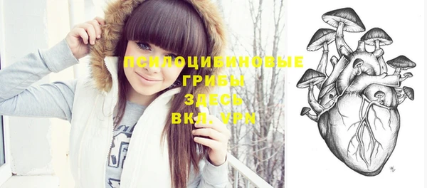 мдпв Балахна