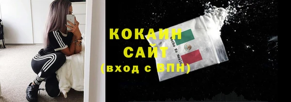 PSILOCYBIN Баксан