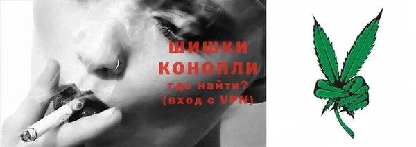 PSILOCYBIN Баксан