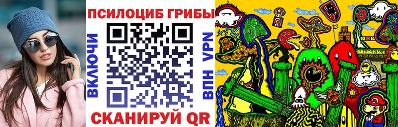 Псилоцибиновые грибы прущие грибы  Теберда 